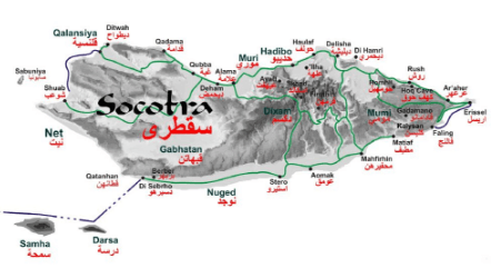 To nejlepší ze Socotry